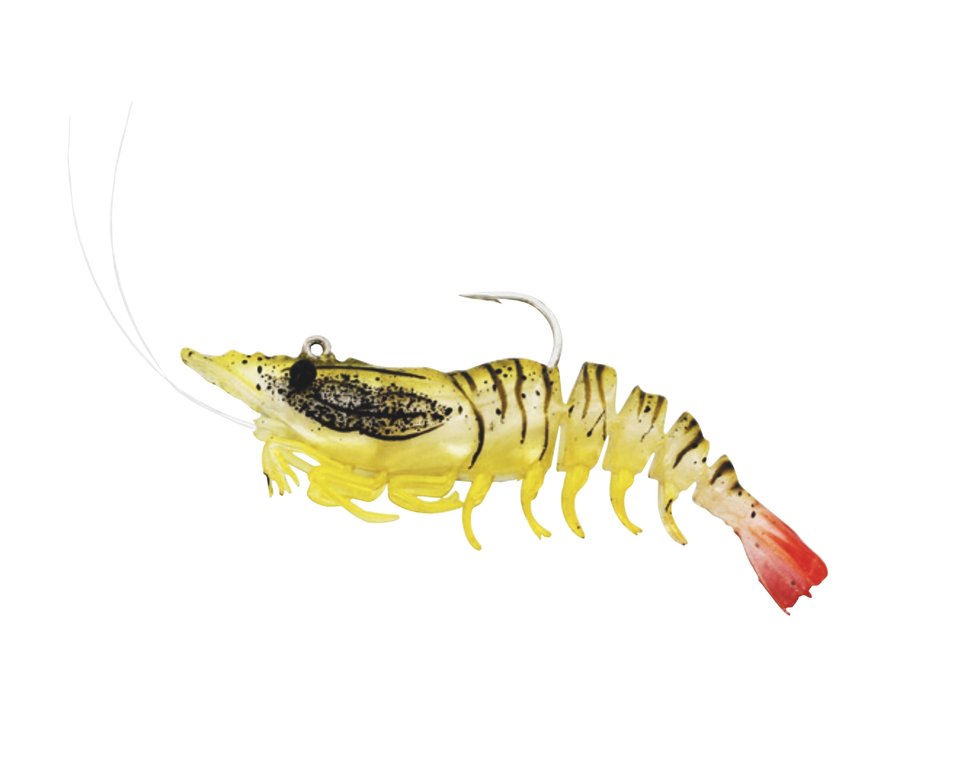Westin Salty the Shrimp R'N R
