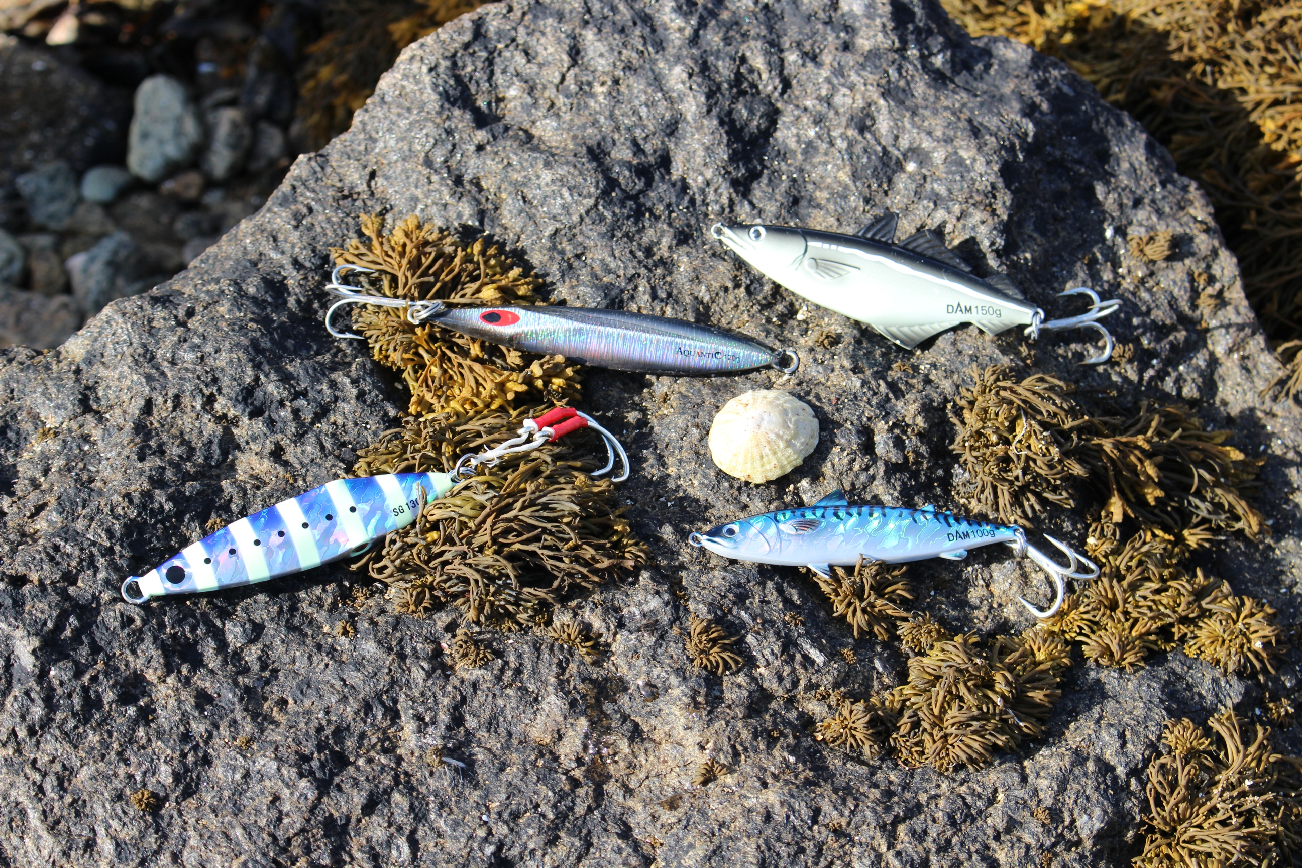 Spro CAST'X Jig Zocker Cromo – Pilker In Metallo 7g 14g 21g 28g 35g 42g – Pesca Salata