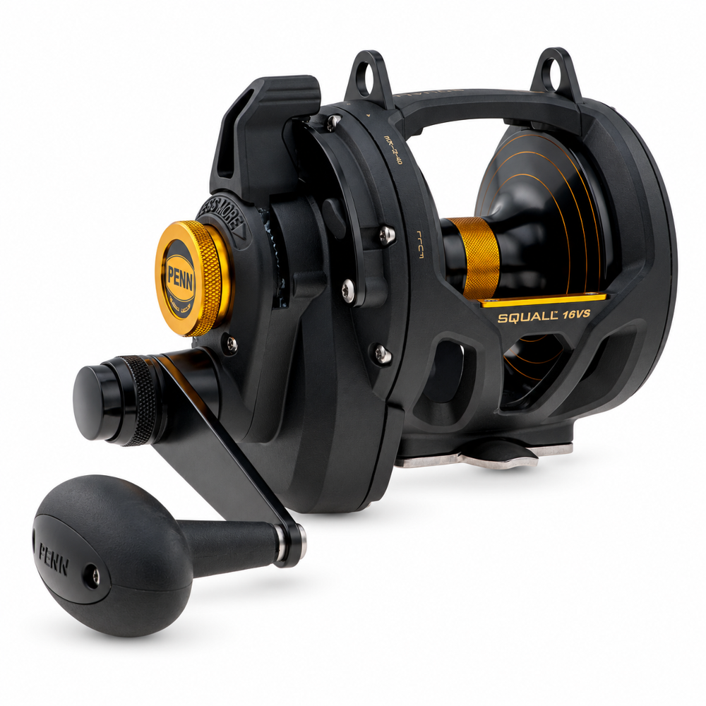 PENN Squall® Lever Drag 2 Speed