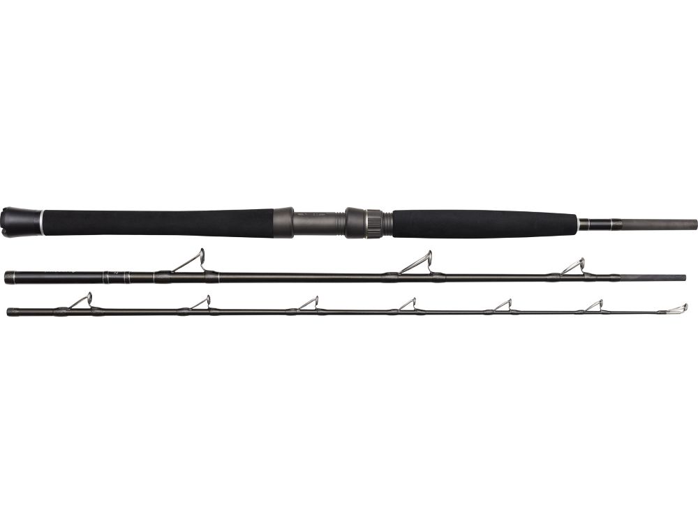 Westin W2 BOAT 195cm - Travel Rod 12-20 lbs
