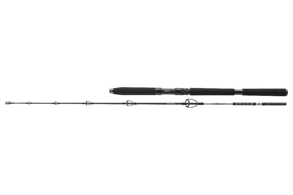 DAIWA BG JIGGER 1,70m - 150-400g