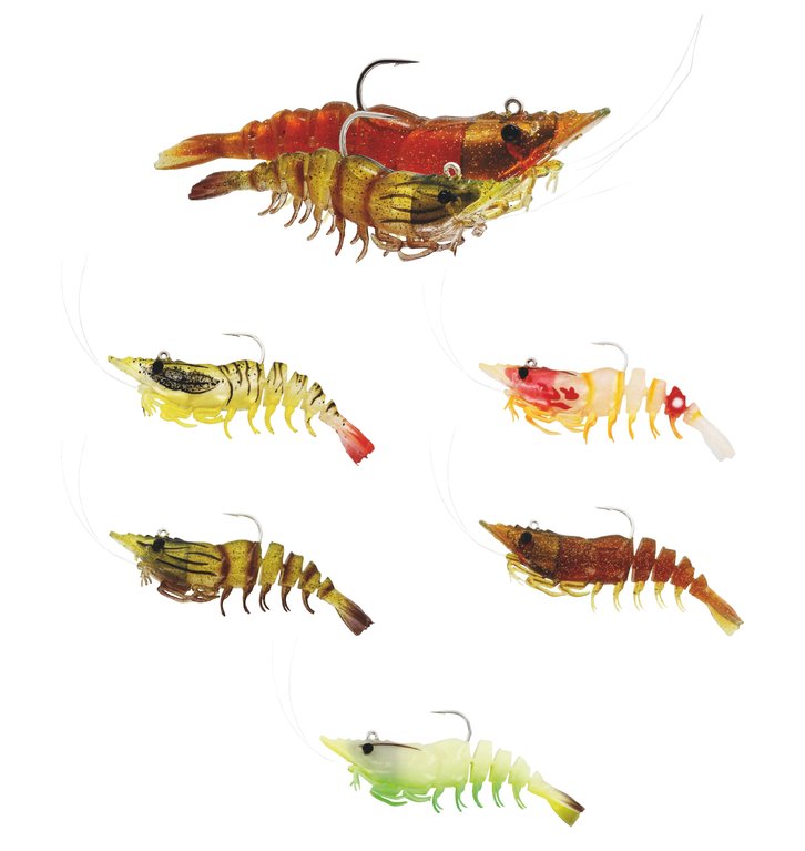 Westin Salty the Shrimp R'N R
