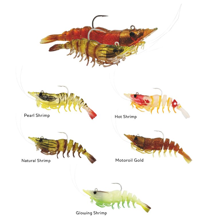 Westin Salty the Shrimp R'N R