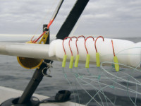 Preview: 8896018-VH Preview: 8896018-VH