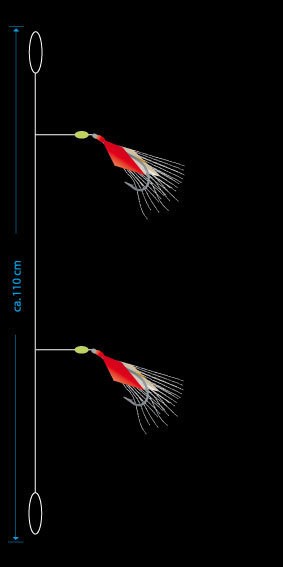 AQUANTIC Großdorsch System