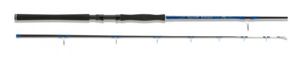 AQUANTIC Epoxy Tip - Natural Bait Rod