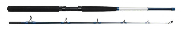 KINETIC FANTASTICA 180cm - 20-30lbs - Rod