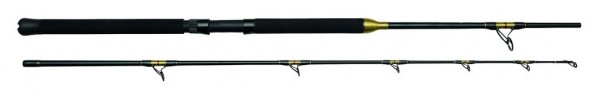 KINETIC BRUTALIS FS Rod 195cm divided in the middle