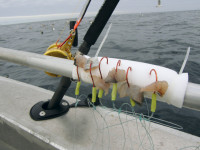 Preview: 8896018-VH Preview: 8896018-VH