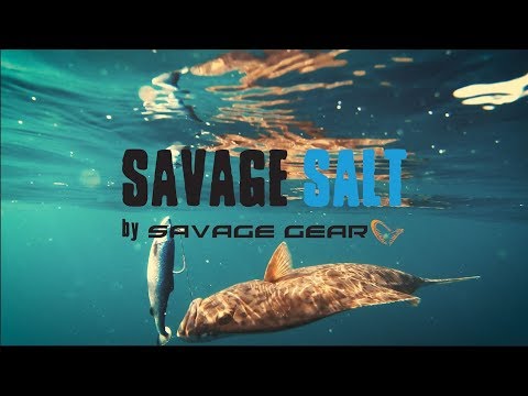 Savage Gear 4D Herring Big Shad NEW 112g - PLAICE