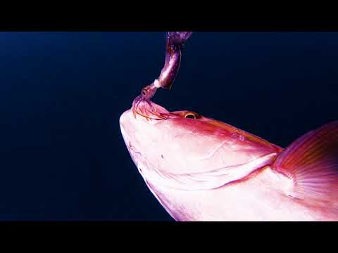 Savage Gear 3D TPE Swim Squid 1pc. - 63g - red/brown